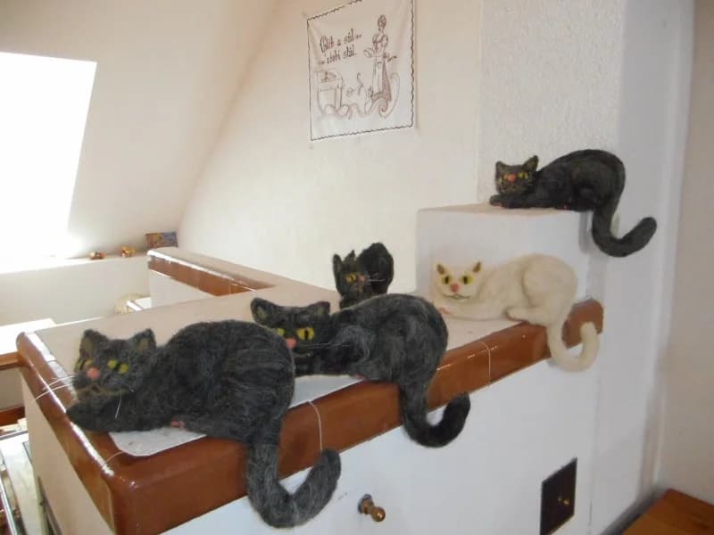 Fotografie z farmy 4