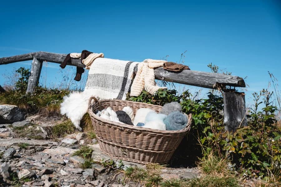 Fotografie z farmy 7