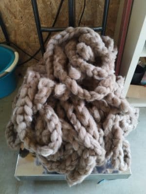 Češanec - Romney/Shetland